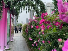 -南京国际青年文化中心
