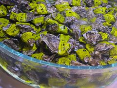 -聚盛源蒸汽海鲜火锅烤肉自助(巨川金海岸购物广场店)