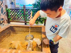 -酷嗒动物文化乐园(cutezoo西溪乐天城店)
