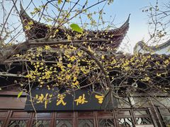 -三林塘老街