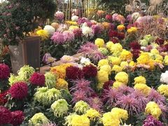 -白塘生态植物园