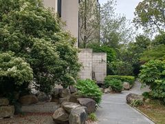 -上海崇明金茂凯悦酒店