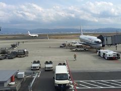 -关西国际机场直营免税店