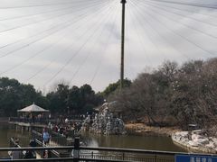 -合肥野生动物园