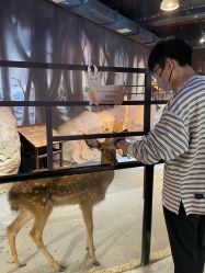 -酷嗒动物文化乐园(cutezoo西溪乐天城店)