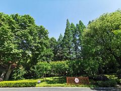 -徐家汇源景区-衡山公园