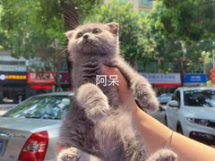 -宠颐生宠物医院外科·内科·皮肤科·影像科(石龙店)
