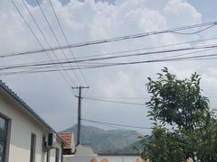 -趣玩宠物乐园寄养训犬训狗游泳池