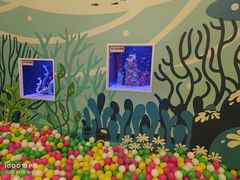 -海合安成都极地海洋公园