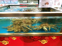 俄罗斯帝王蟹-盒马鲜生(大成店)