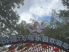 -广州长隆飞鸟乐园