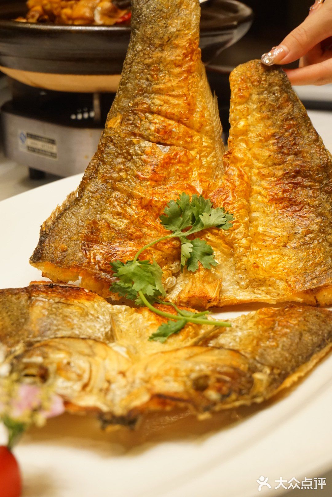 长沙鱼鲜美食必选鱼怕饭！！！[调皮]