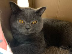 -猫和宫(六道口店)