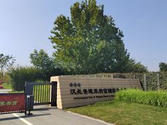 -汉长安城未央宫国家考古遗址公园