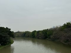 -海珠湖公园