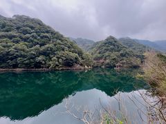 -宁海森林温泉