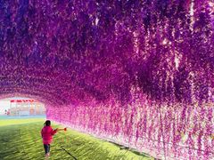 -绿野森林乐园冰雪季
