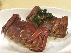 -绿波廊(豫园店)