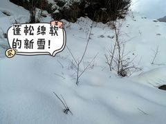 -太子岭滑雪场