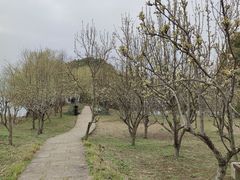 -长兴太湖图影湿地文化园