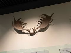 -大庆市博物馆