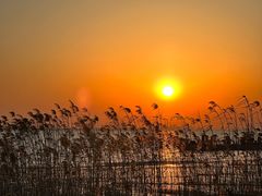 -seeu coffee(江滩店)