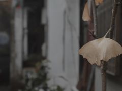 -邊城書店