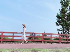 -柱状节理带