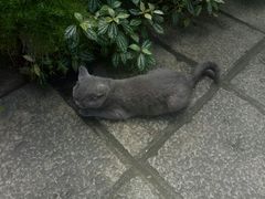 -厦门良筑精品酒店(厦门中山路店)