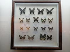 -陕西自然博物馆