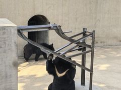 -保定市动物园