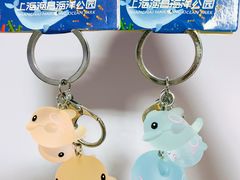 -上海海昌海洋公园