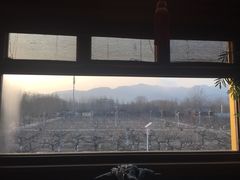 -那家山城(樱桃园店)