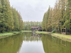 -黄海国家森林公园