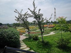 -紫颐香薰山谷景区