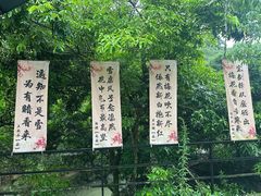 -广东天露山旅游度假区