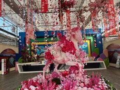 -荷兰花海