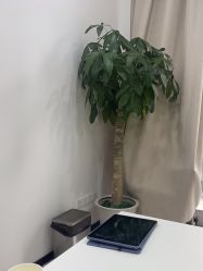 -重庆军科整形美容医院