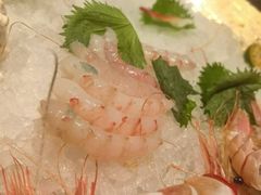 -月龍吟(朝龙汇店)