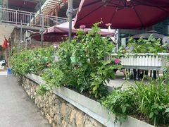 -崔记生活·铁锅炖鱼粘卷子(总店)