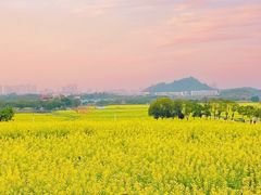 -光明小镇欢乐田园