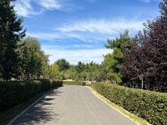 -红山国家森林公园