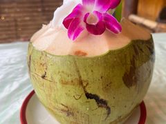 -Jungle Kitchen