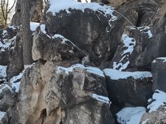 -金城公园