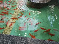 -沈阳市骨科医院