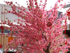 -红鼎豆捞·非遗鲍皇汤火锅(宝丰路店)