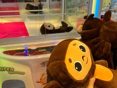 -PAWTOY爪e玩偶店(天兴罗斯福店)