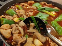 湘味肥肠火锅-湘肠香火锅店(团结湖店)