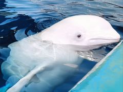 -福州罗源湾海洋世界旅游区