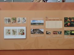 -上海中国航海博物馆